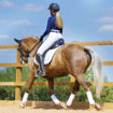Picture of Vision Dressage Pad 