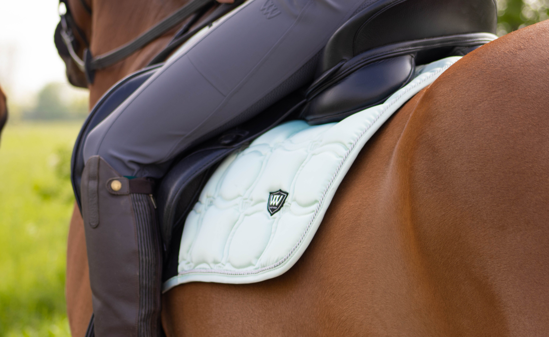 Picture for category Saddle Pads